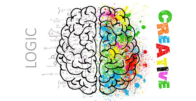 brain-2062055  340